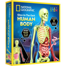 National Geographic komplekts Glow in the Dark Human Body, RTHUMBODY