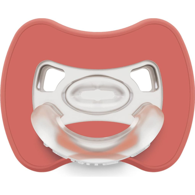 Smart pacifiers Glee 0-2m brick
