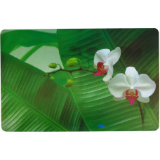 Asi Collection Galda paliktnis 43,5x28cm orhideja