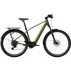 Tenways Electric bicycle TENWAYS AGO X Special Edition, 29" Green