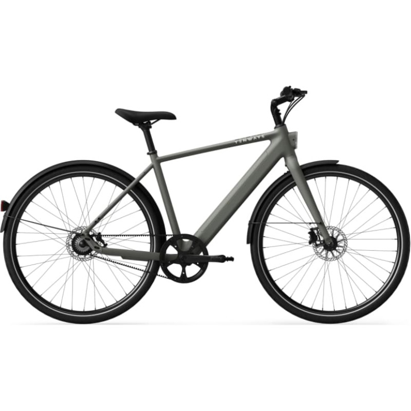 Tenways Electric bicycle TENWAYS CGO600 Pro, Willow Mist (M)