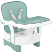 Booster seat Chewy Mint