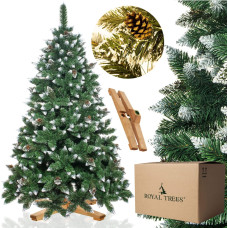 Springos CT0192 Dirbtinė Kalėdų eglutė 240 cm Premium Royal Trees Snowy Deimantinė pušis su kūgiais