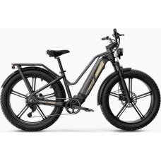 Fiido Elektrijalgratas FIIDO Titan, Grey