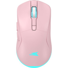 Baracuda BGM-124 Turtle Pink