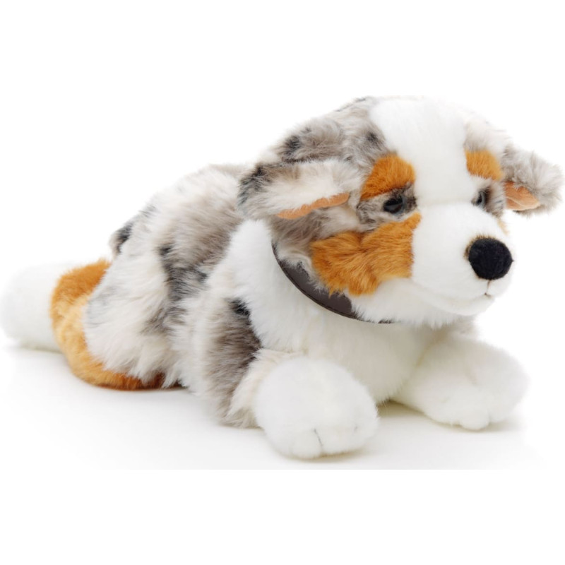 Uni-Toys Plush toy Dog Australian Shepherd, 40 cm