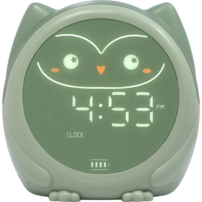 Cloud B SLEEPY OWL