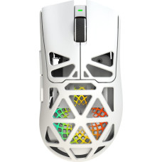White Shark MORIEN WGM-5025  White