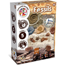 Science4You Mokslo rinkinys - Kasinėjimai - Fosilijos