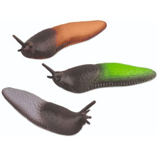 Trendhaus Zoologija - Tamprus smėlio nuogaslyvis (1 vnt., 3 dizainai)