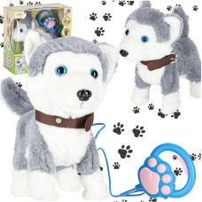 Interaktyvus žaislinis haskis su pavadėliu — loja, vaikšto ir vizgina uodegą