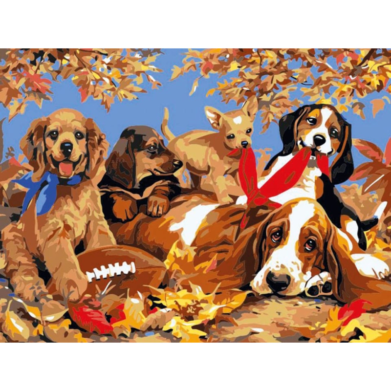 Other Painting by the numbers - 50937 - DOGS - size 40x30 cm