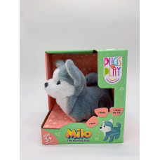 Pugs At Play Vaikštantis šuniukas MILO