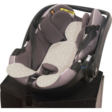 Kuli-Muli CLIMATIC GROUP 0 SPACE STONE