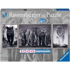Ravensburger Puzzle 1000 Panthers, Elephants, Lions