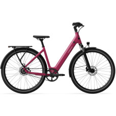 Tenways Electric bicycle TENWAYS CGO800S, Wild Berry