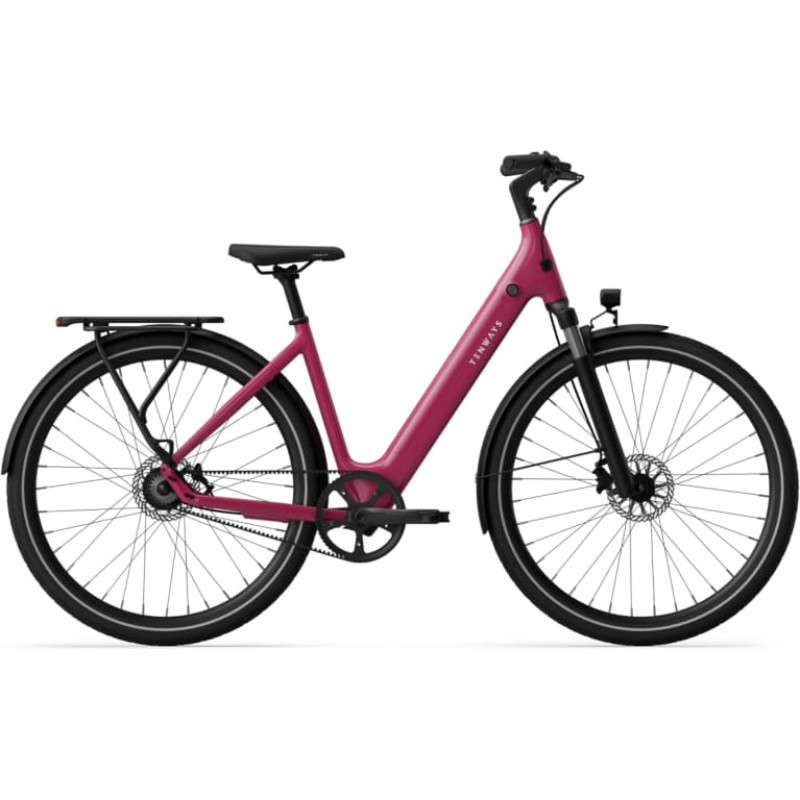 Tenways Electric bicycle TENWAYS CGO800S, Wild Berry