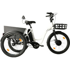 Leaderfox LEADER FOX Lovelo electric tricycle, White