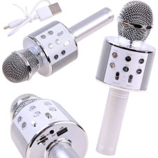 Isoxis Mikrofons KARAOKE (USB) IN0136 white