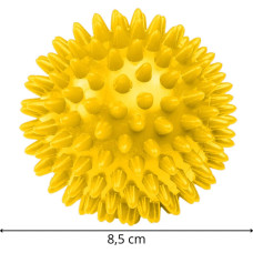 Springos Masažo kamuolys Springos FA0058
