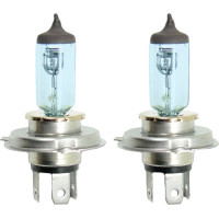 Bottari Halogen bulbs H4 