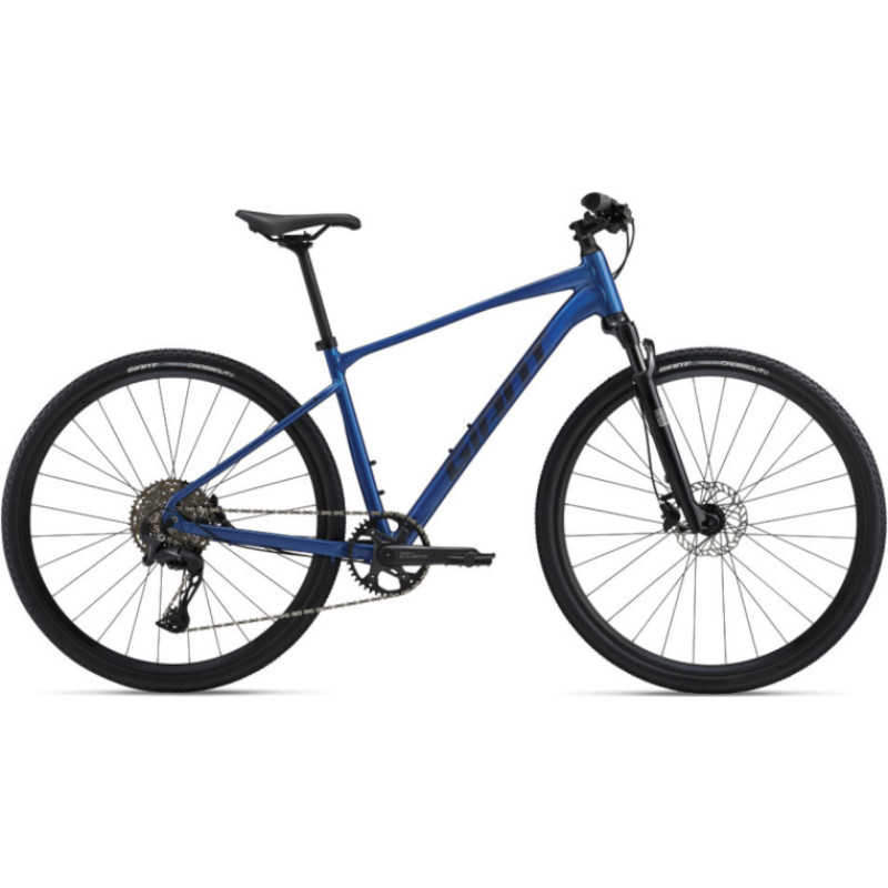 Giant dviratis GIANT Roam 1 (2025) Electron Blue (S)