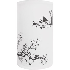 Strühm DESK LAMP ZYTA E14 WHITE