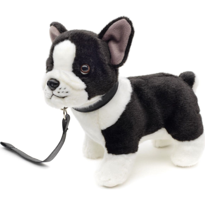 Uni-Toys Plush toy Dog French bulldog with leash, 23 cm