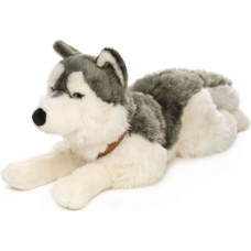 Uni-Toys Soft toy Husky with leash, 62 cm