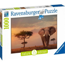 Ravensburger Puzzle 1000 Elephant of the Masai Mara