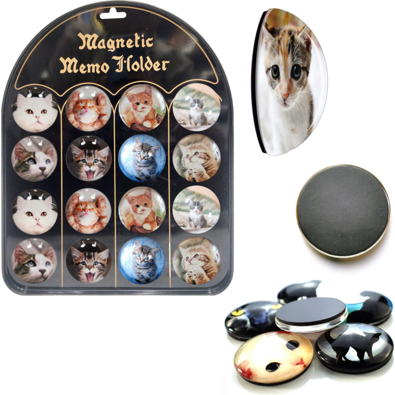 MAGNESY KOTY 16 SZTUK