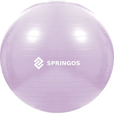 Springos Mankštos kamuolys su pompa Springos FB0011 65 cm