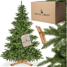 Springos CT0194 Dirbtinė Kalėdų eglutė 180 cm Premium Royal Trees, natūrali eglutė su mediniu stovu