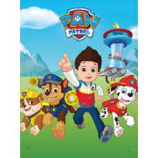 BLANKETS 100X140 PAW PATROL BOY PAW23-022 POLAR FLEECE 220GSM