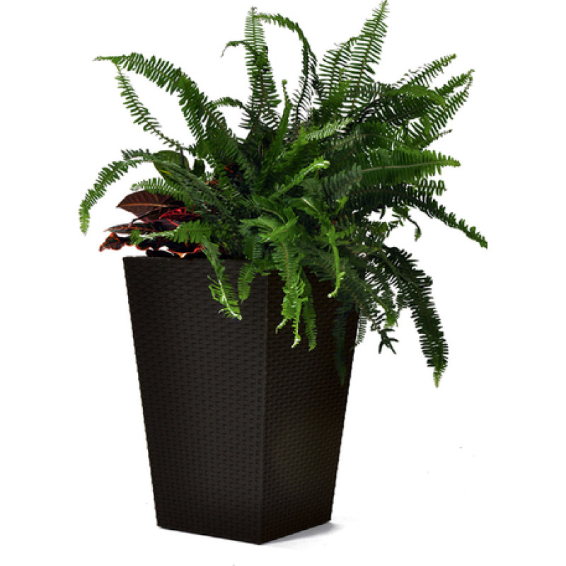 Keter Puķu pods Rattan Planter M 55,4L brūns