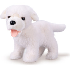 HIPO pliušinis žaislas – 04569 – šuo – labradoras – baltas – dydis: 23 cm