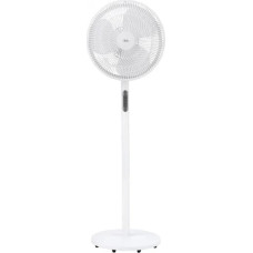 Jata JVVP3062