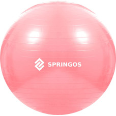 Springos Mankštos kamuolys su pompa Springos FB0012 75 cm