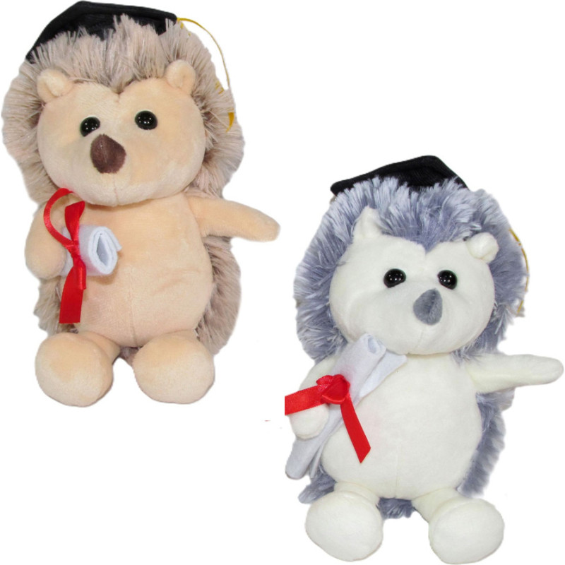 JEŻ ABSOLWENT 2 KOLORY