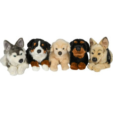 Uni-Toys Plush toy Dogs, various, medium, 30 cm
