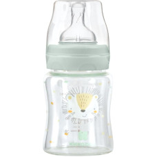 Glass feeding bottle 120ml Jungle King Mint