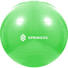 Springos Mankštos kamuolys su pompa Springos FB0007 65cm