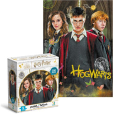 Dodo Edukacinė dėlionė Medium-S Harry Potter Harry and friends 250 pcs