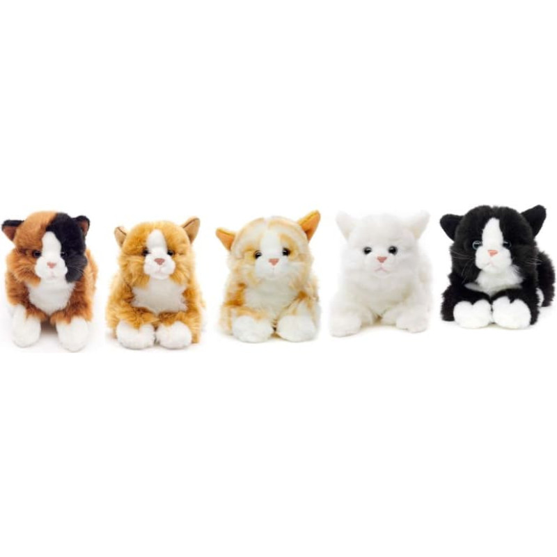 Uni-Toys Plush toy Kitten sleeping, black, 20 cm