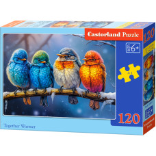 CZTERY PTASZKI *120*