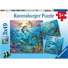 Ravensburger Puzzle Ocean Life 3 x 49 Pc Puzzle 5149