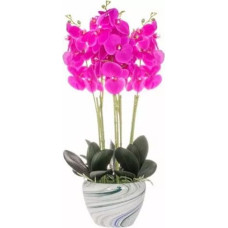 Springos Dirbtinė orchidėja Springos HA4348