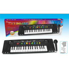 Other 13497 ORGANY 2037A