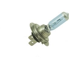 Bottari Halogen bulb H7 12V 55W B2 