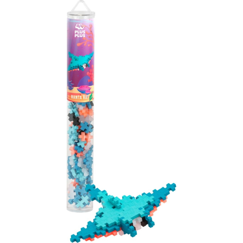 Plus Plus konstruktorius, Raja, 100 det.